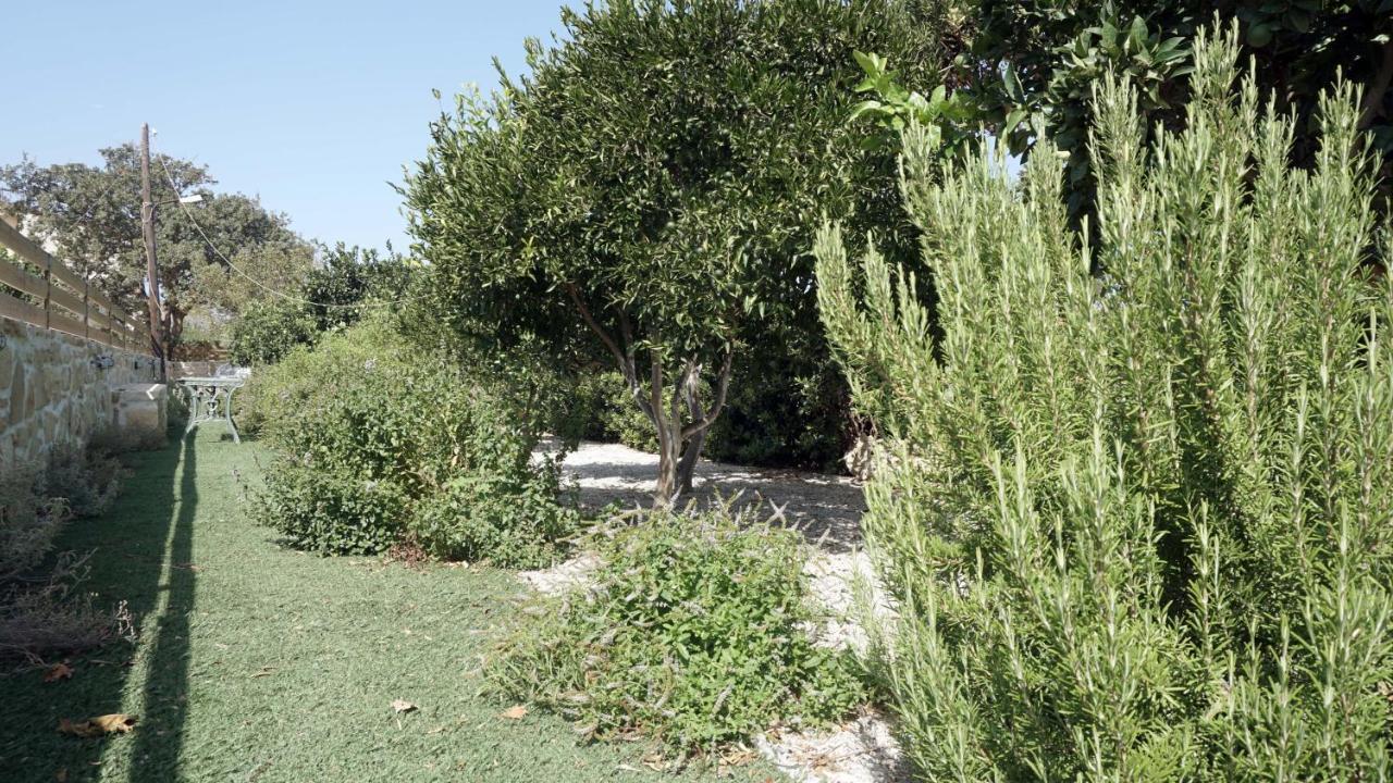 Studio Panagiota - Oasis Holiday Houses Kokkinos Pirgos Esterno foto