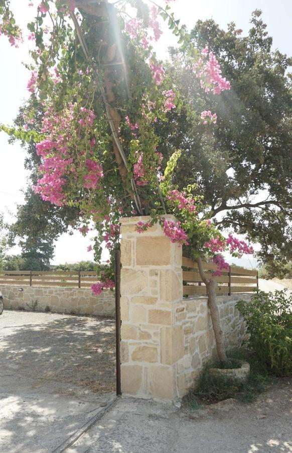 Studio Panagiota - Oasis Holiday Houses Kokkinos Pirgos Esterno foto